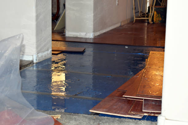 Professional Sewage Cleanup technician working in Whiting, ME